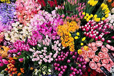 Steam新品节最热试玩排行：《阴影笼罩》最受期待